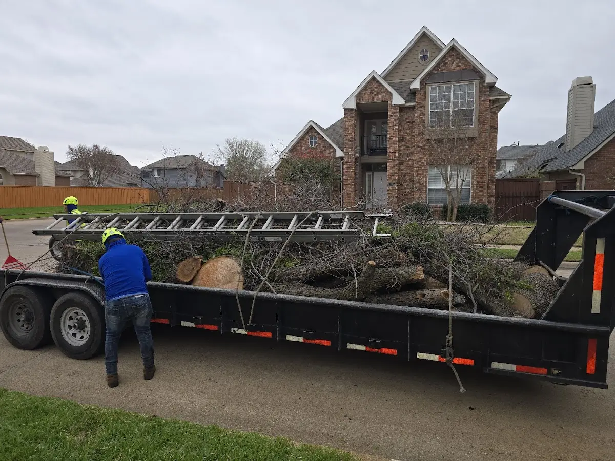 Expert Tree Fertilization with proper safety equipment in Jefferson